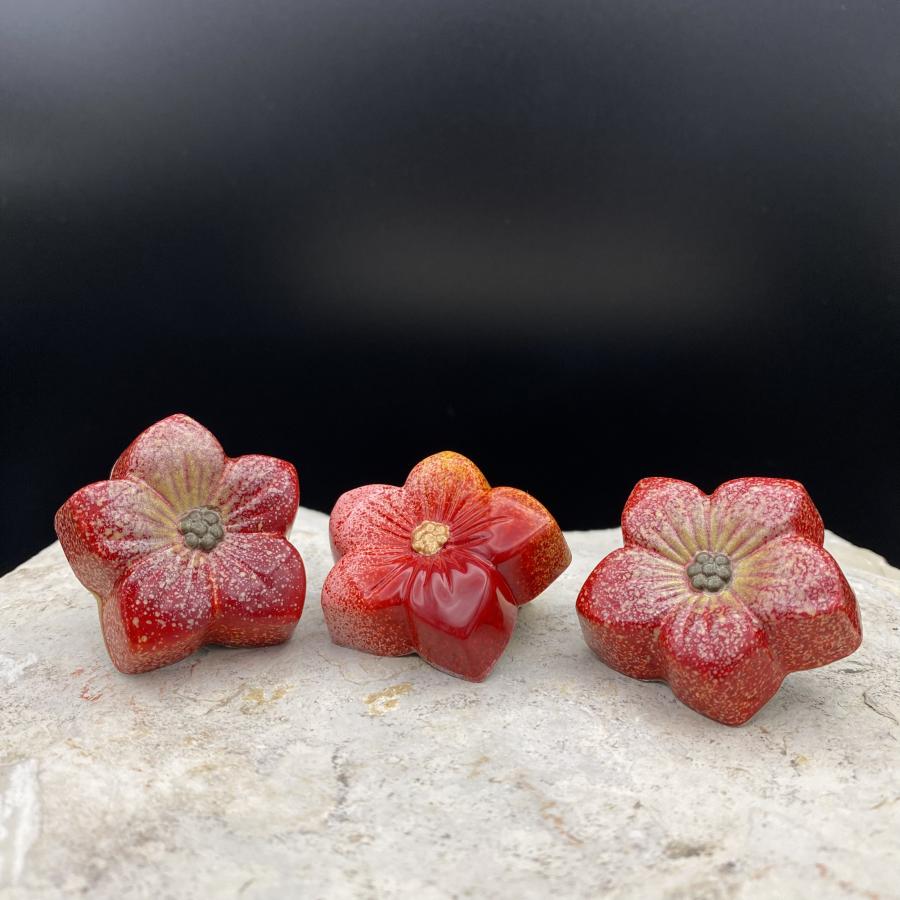 5 Blütenpralinen  mit Irish Cream Ganache (mit Original Baileys zubereitet)